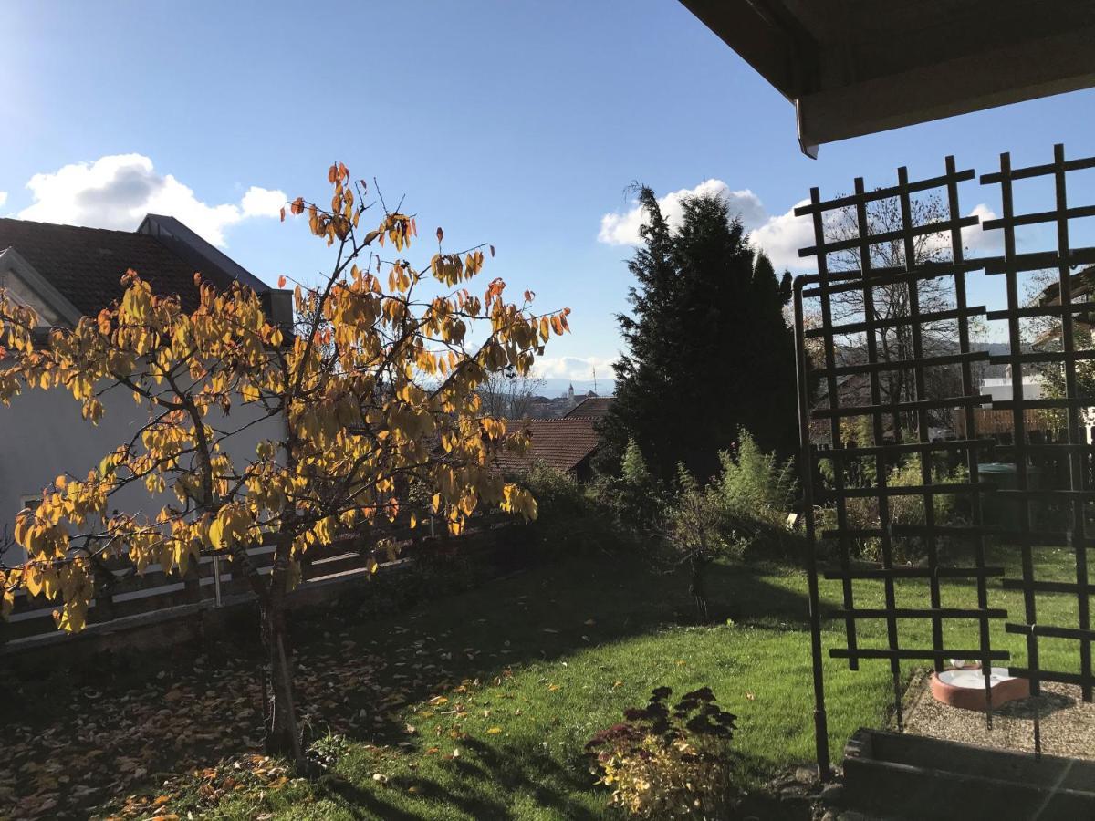 Jonuscheit Apartment Bodenmais